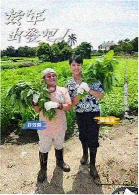成人在线观看电影综艺资讯